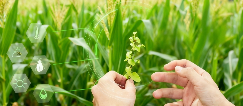 农业水价综合改革