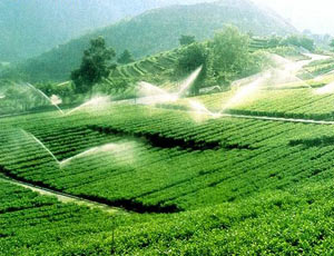 河南林硕农业 河南林硕农业