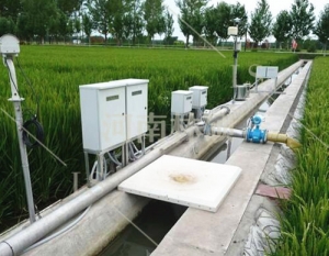 三级在线视频电影,国产亚洲av高清不卡,国产成人精品2024欧美日韩