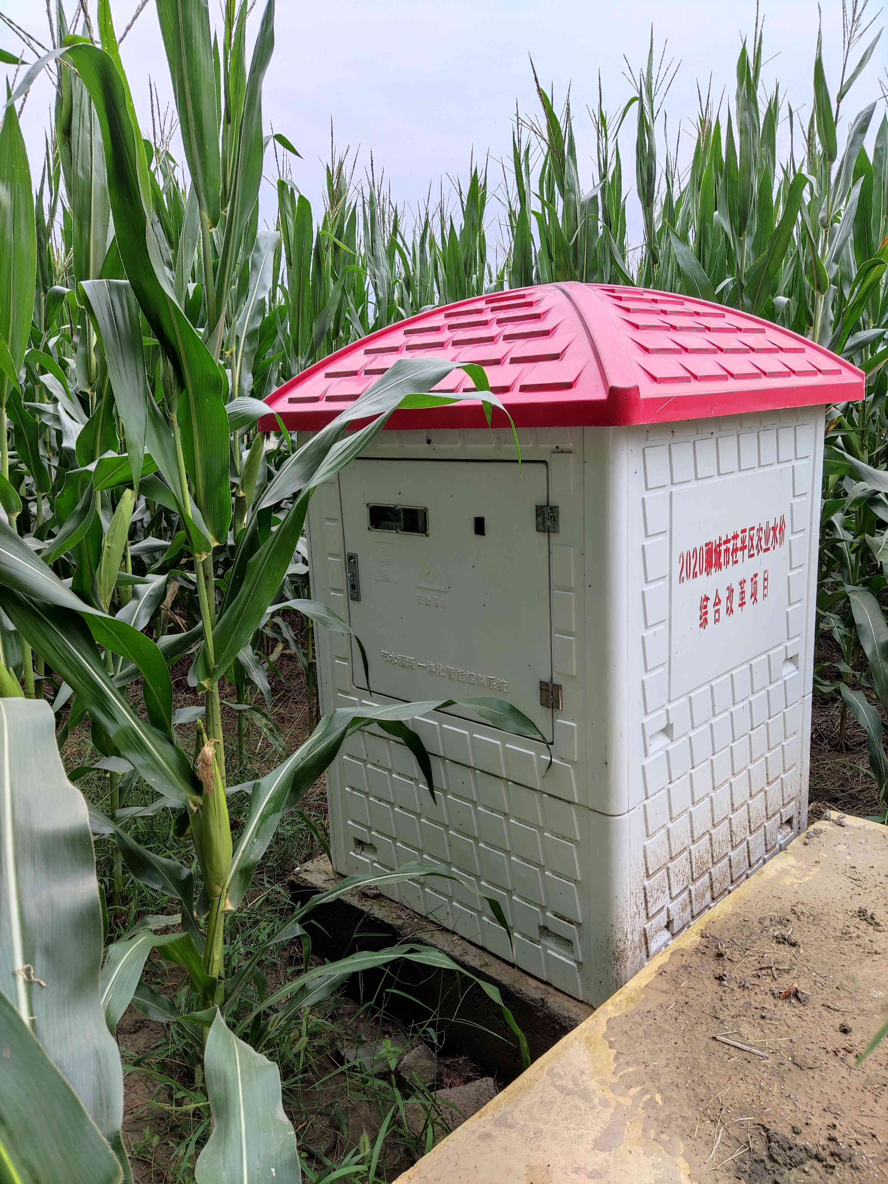 国产亚洲av高清不卡